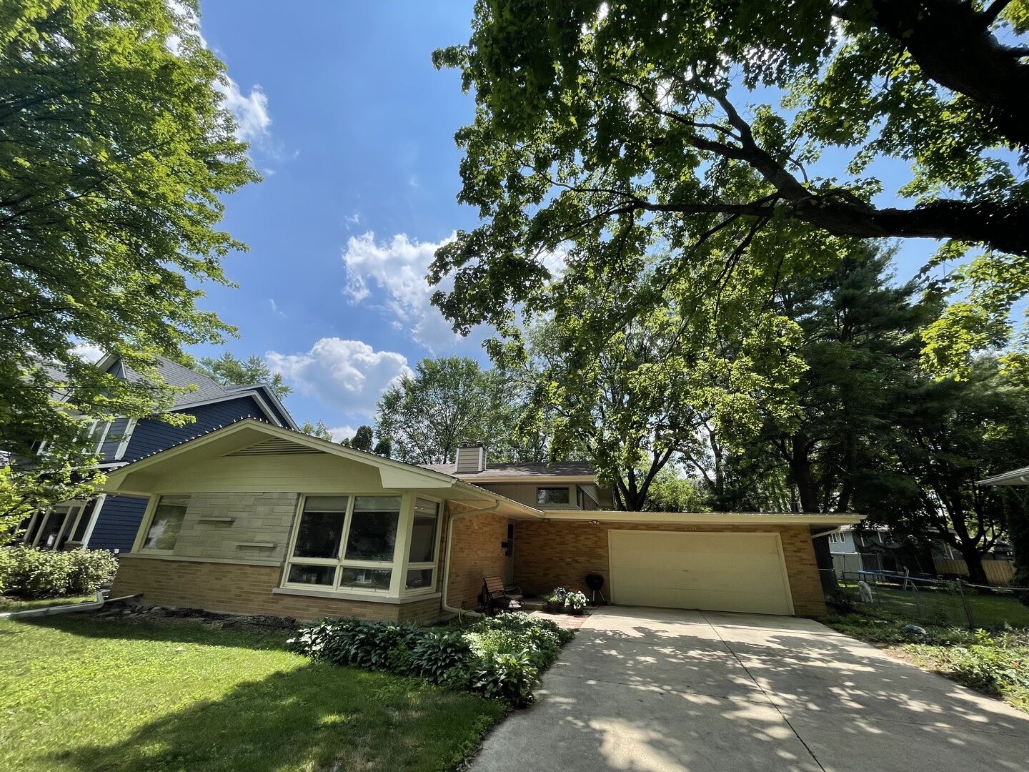Property Photo:  220 Elmwood Drive  IL 60540 