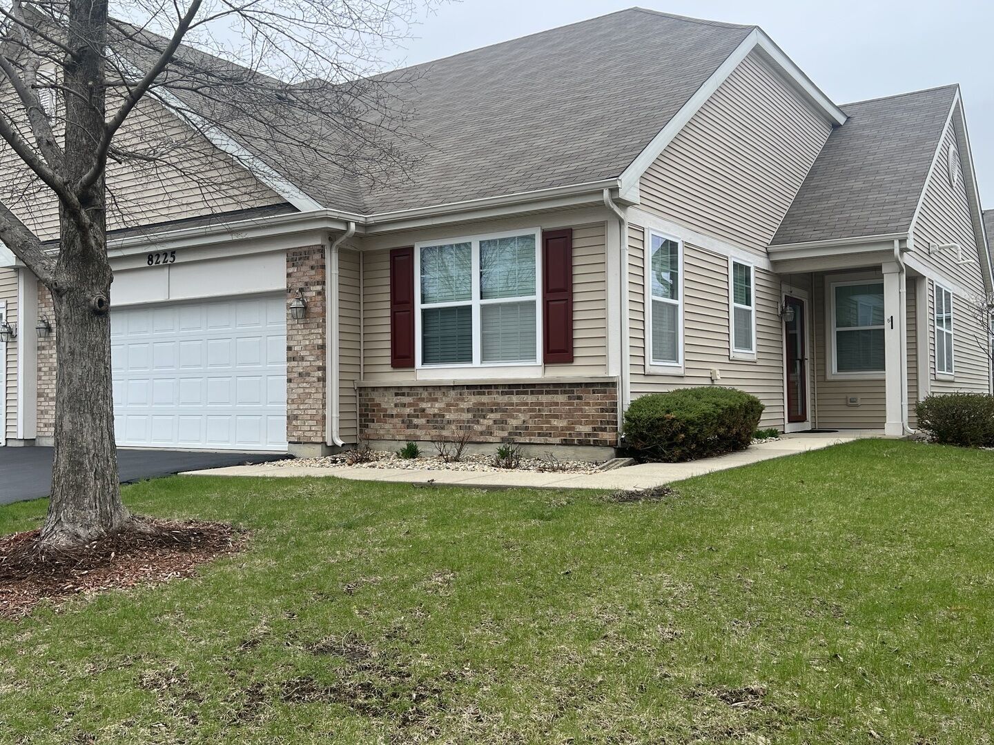 Property Photo:  8225 Tremont Lane  IL 60431 