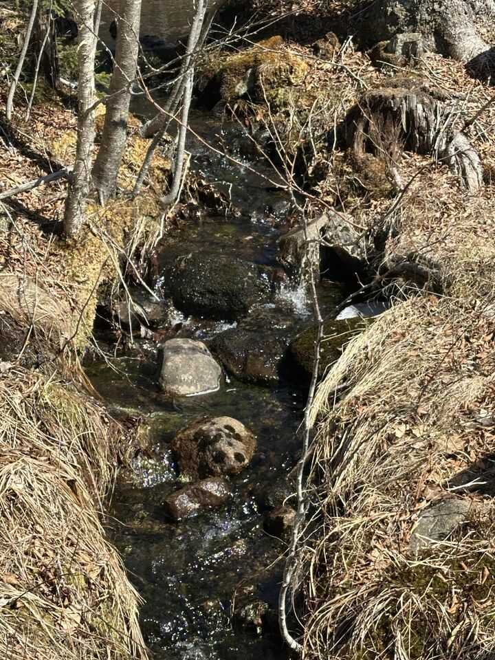 Property Photo:  Lot #0 Morgan Bay Road  ME 04684 