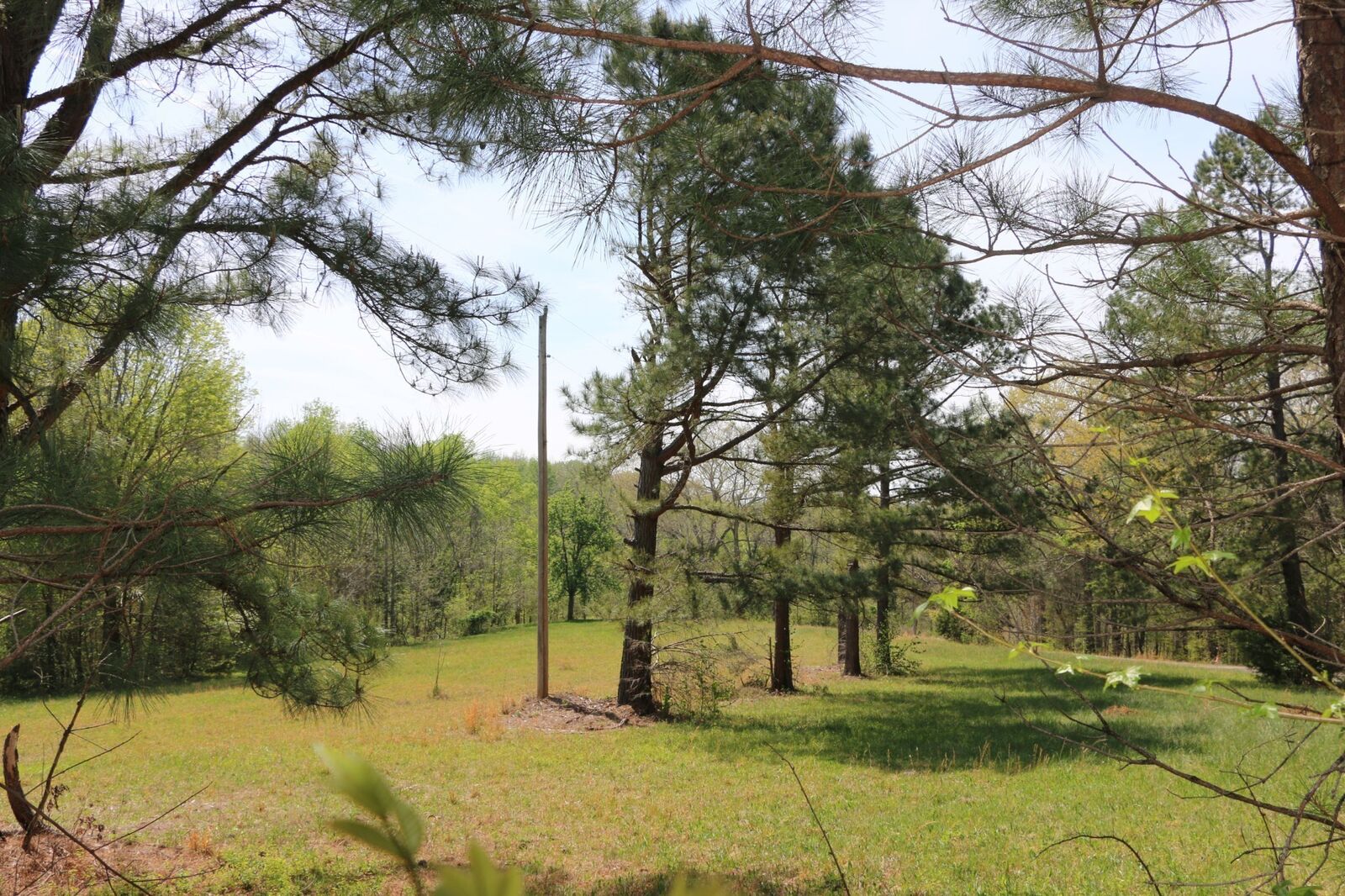 Property Photo: 820 New Rd TN 37040