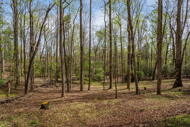 Property Photo:  159 Pack Creek Road  GA 30513 