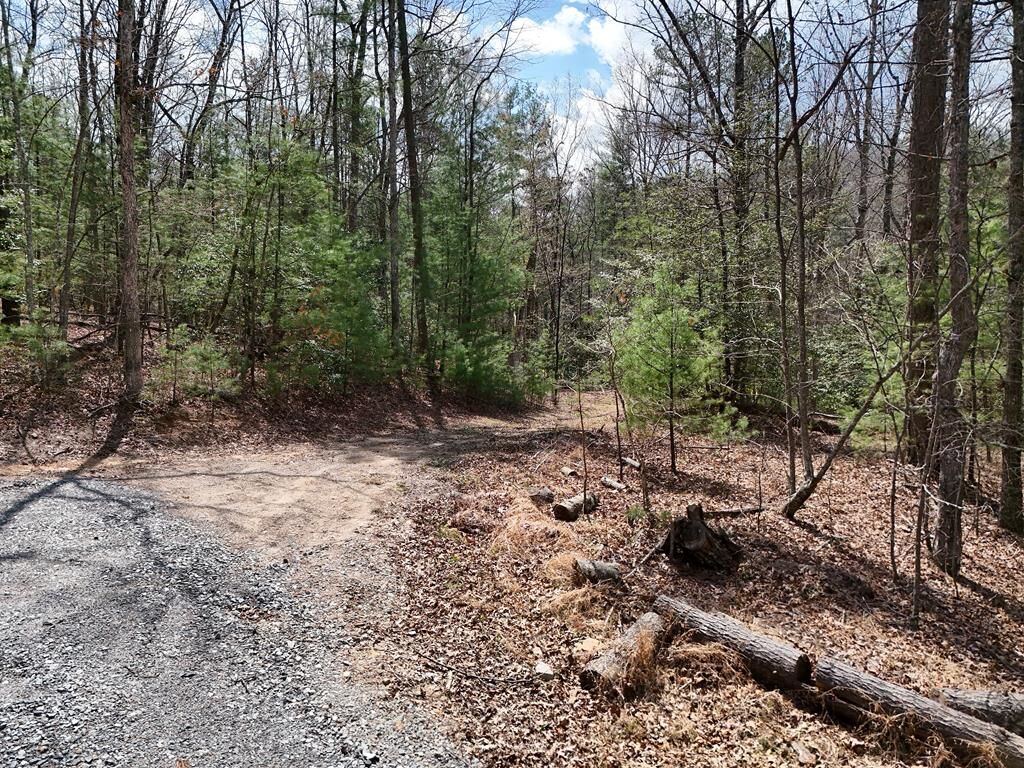 Property Photo:  Lot 117 Laurel Trace  GA 30513 