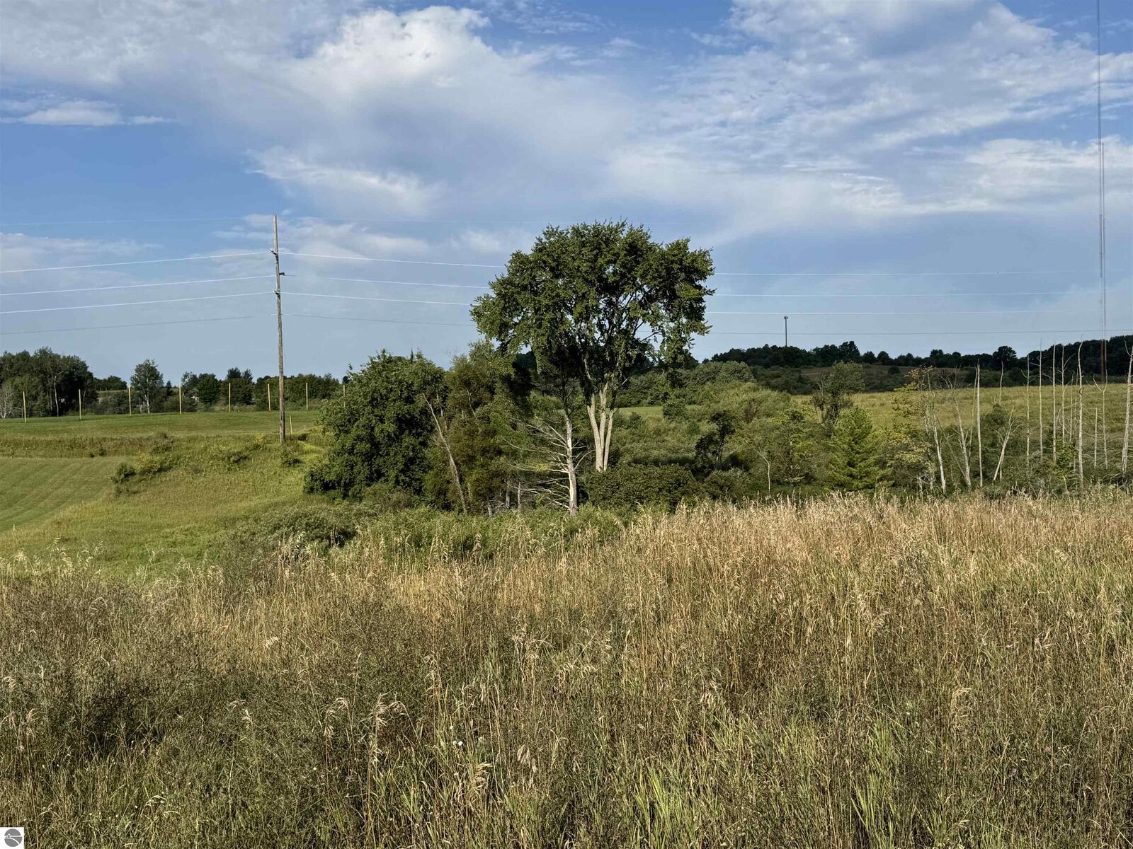 Property Photo:  2231 Tyler Hills Drive  MI 49685 