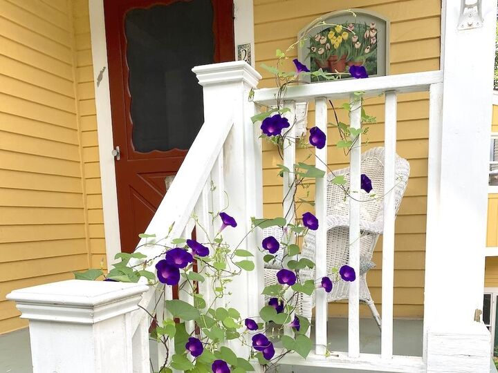 Property Photo:  27 Pine Street  NH 03458 