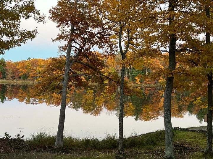 Property Photo: N5284 Golden Pond Lane WI 54876