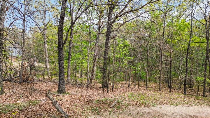 Property Photo:  Lot 20 Embleton Lane  AR 72714 