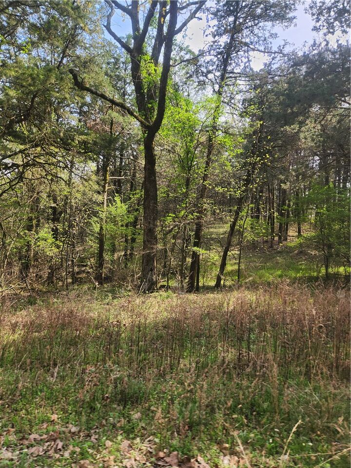 Property Photo:  Lakeview  AR 72847 