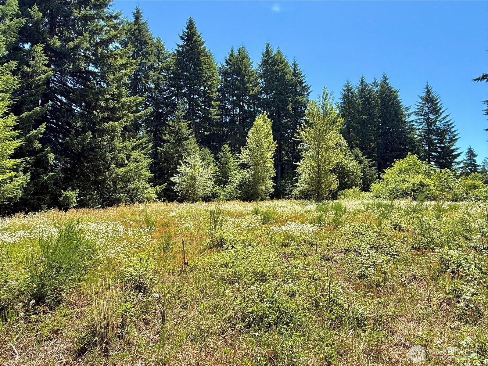 Property Photo:  127  Sawall H  WA 98531 