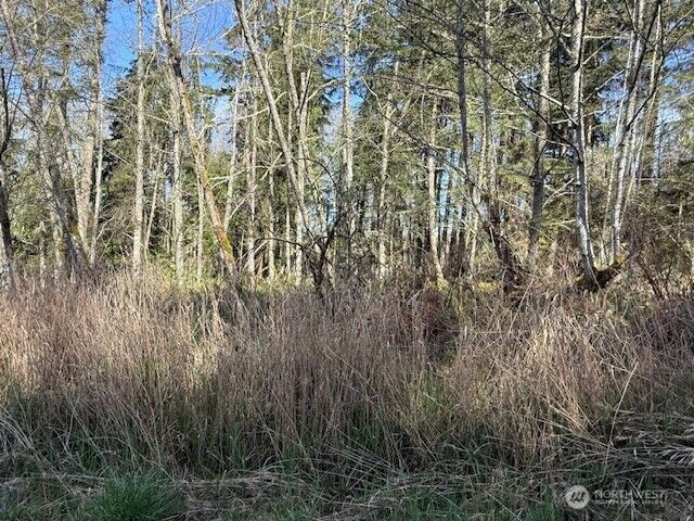 Property Photo:  0 Lot 21  Ander Park Road  WA 98249 
