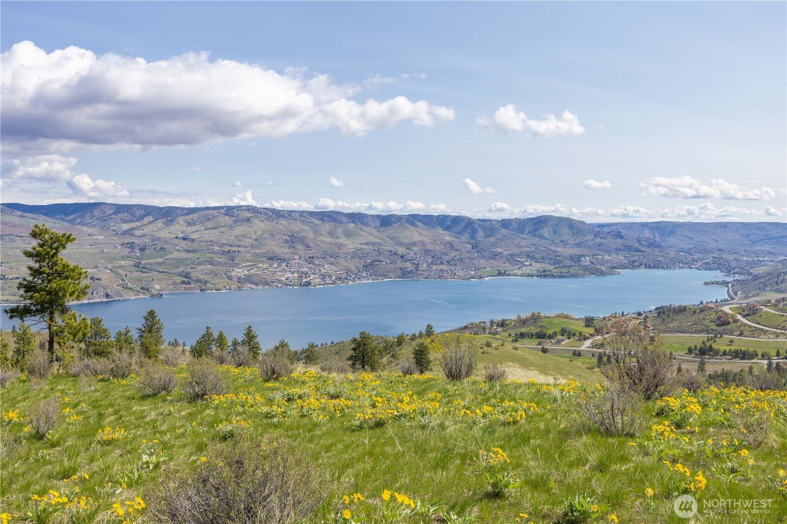 Property Photo:  1  Bear Mountain Road  WA 98816 