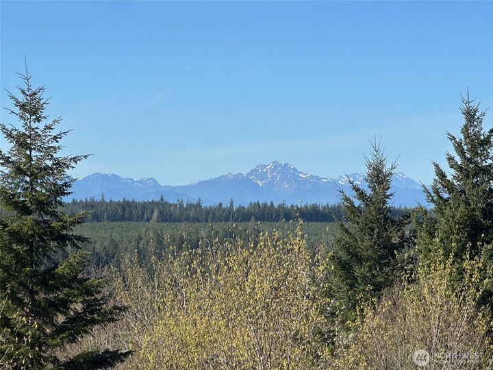 Property Photo: 0 Tr 1&2 E Agate Road WA 98584