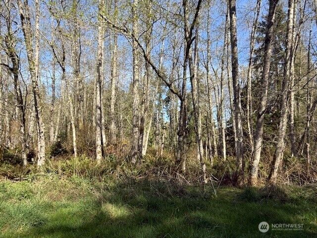 Property Photo:  0 Lot 15  Ander Park Road  WA 98249 