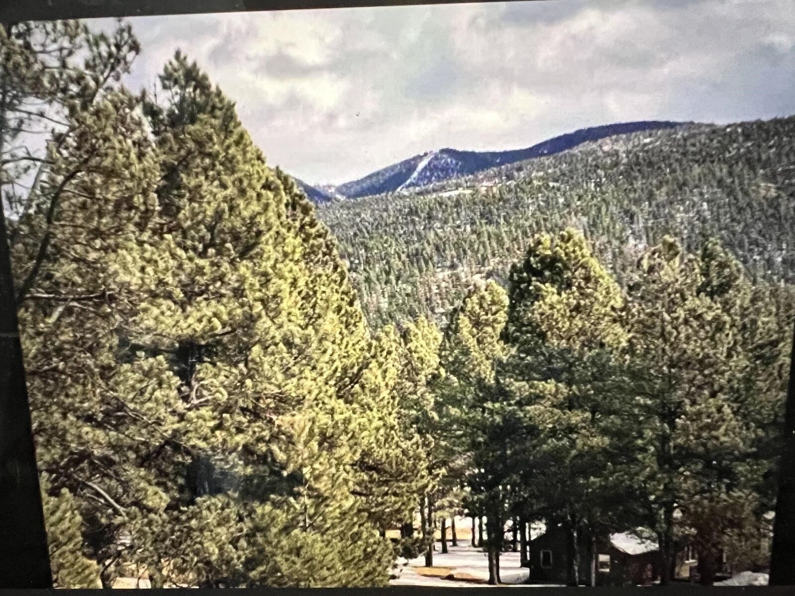 Property Photo:  1066A Woodlands  NM 87710-0000 