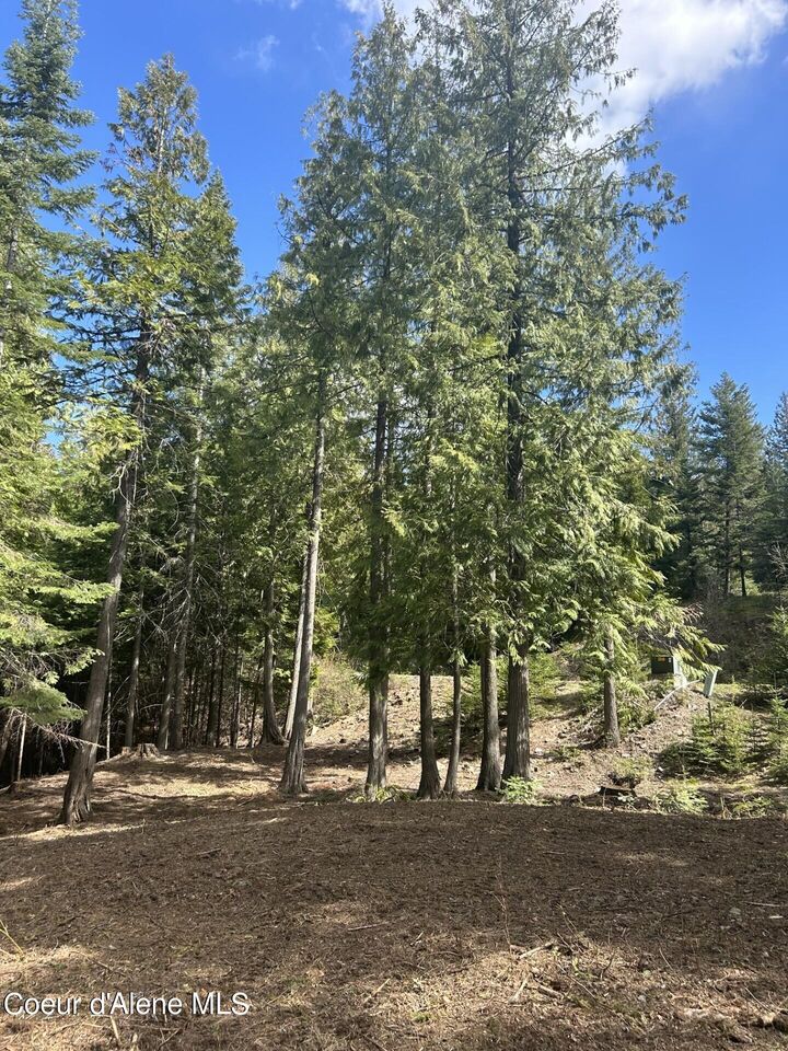 Property Photo:  Lot 17 White Cloud Dr  ID 83864 
