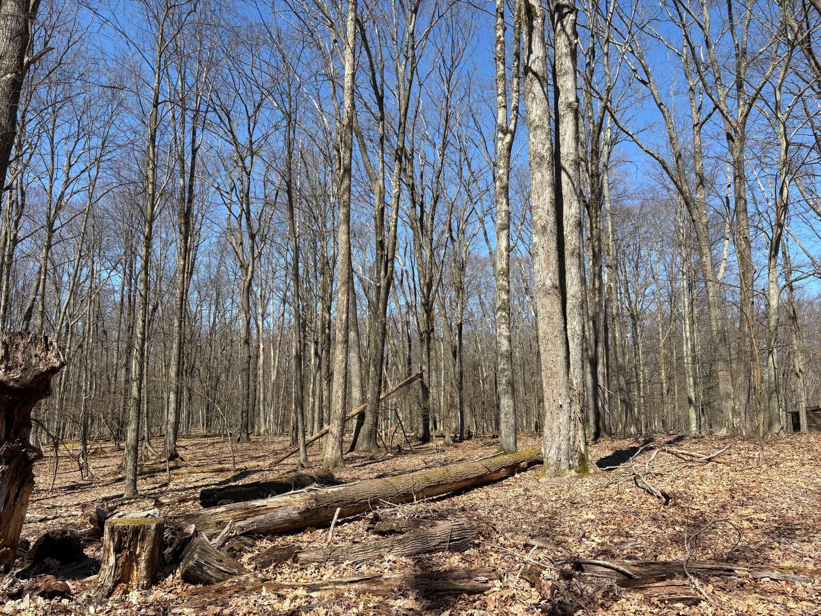 Property Photo:  18 Pimlico Rd  PA 15801 