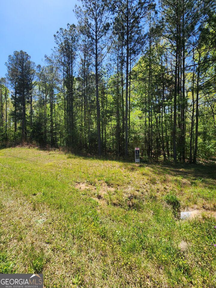 Property Photo: 674 Lower River Road GA 30016