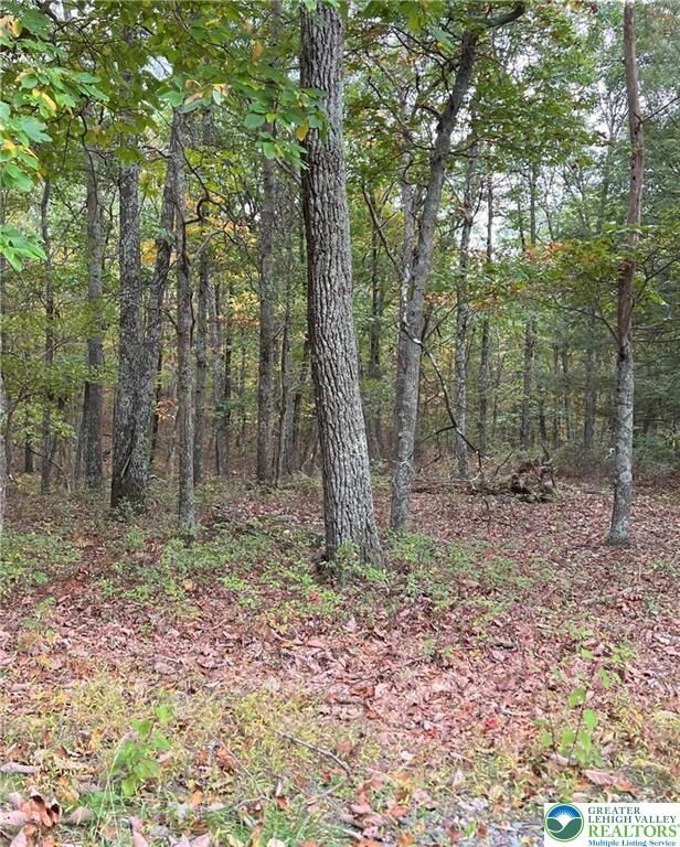 Property Photo:  289 Forest Drive  PA 18325 