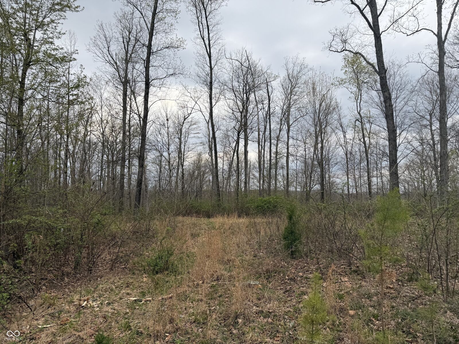 Property Photo:  9000 N County Road 525 W  IN 47235 