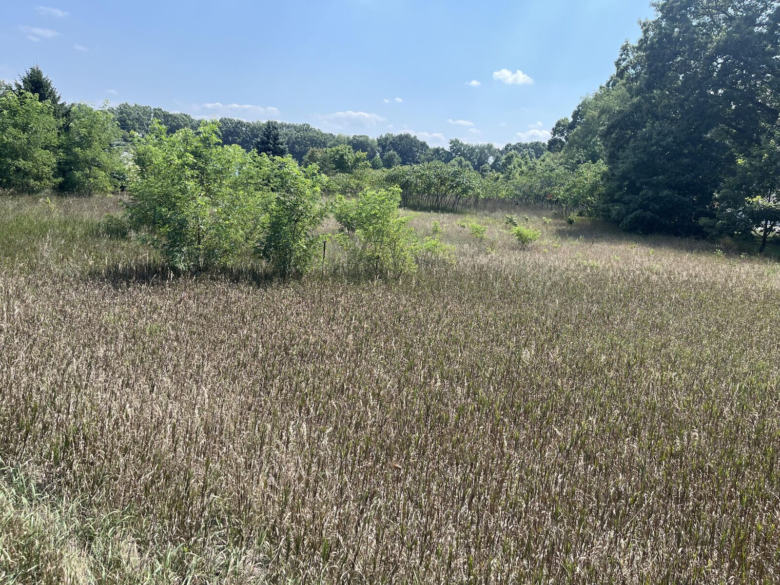 Property Photo:  3380 Babylon Road  MI 49010 