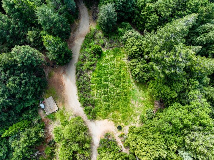 Property Photo:  16600 Holiday Way  CA 95959 