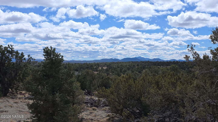 Property Photo:  6371 E Roper Circle  AZ 86046 
