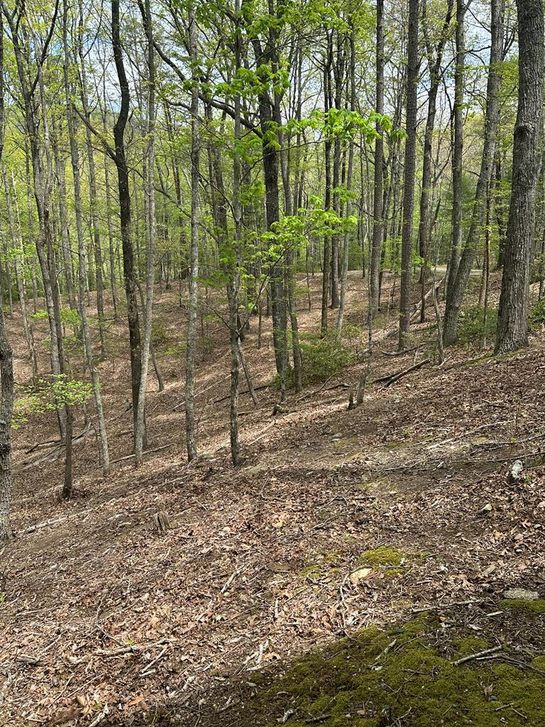 Property Photo:  Lt B87 Laurel Lane  GA 30560 