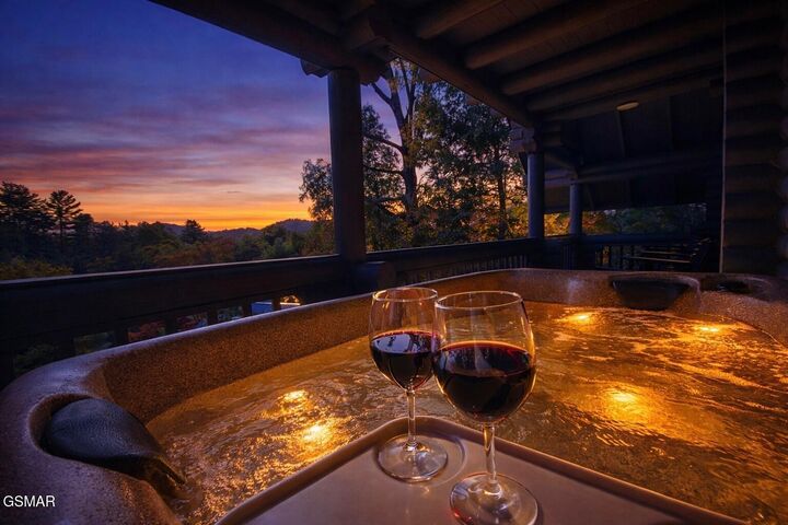 Property Photo:  1003 Walini Way  TN 37876 