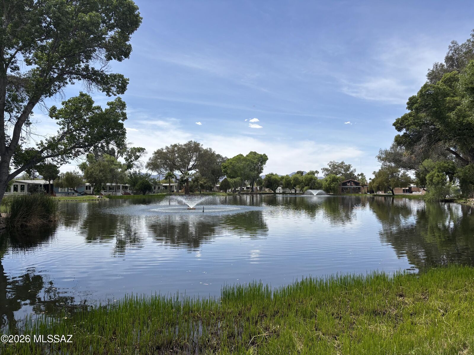 Property Photo:  4550 N Flowing Wells Road 65  AZ 85705 