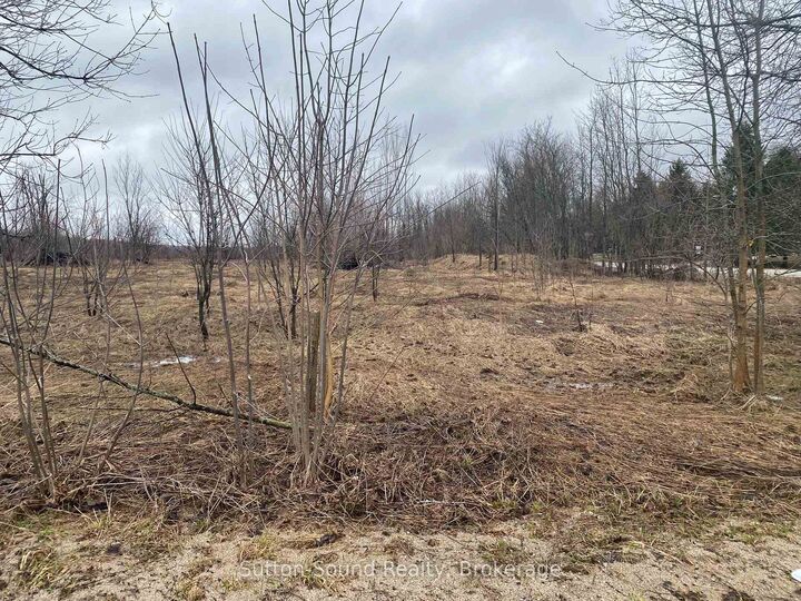 Property Photo: N/A Division/Cruickshank Street ON N0H 2K0