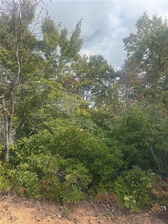 Property Photo:  Lot 16 Brown Hawk  GA 30525 