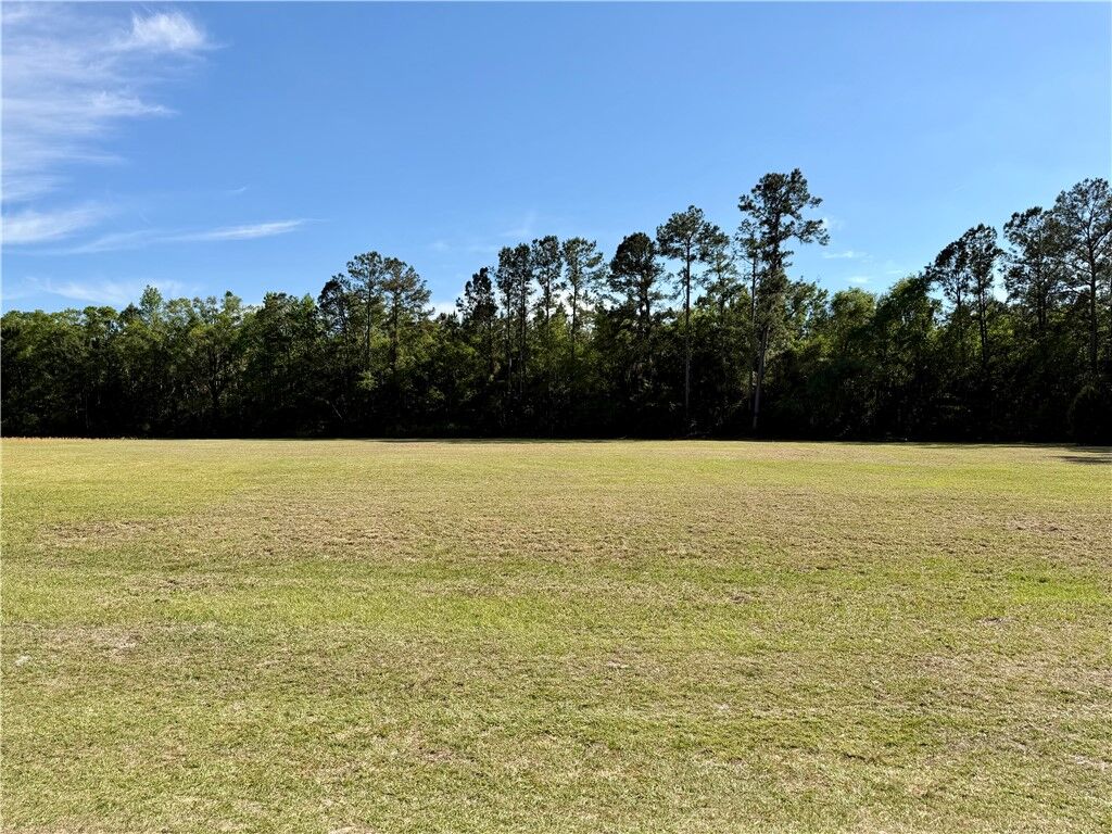 Property Photo:  0 Tiger Island Lane  GA 31569 