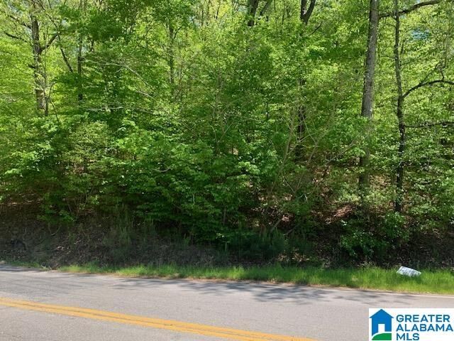 Property Photo: 0 Mellon Bridge Road 0 AL 36203