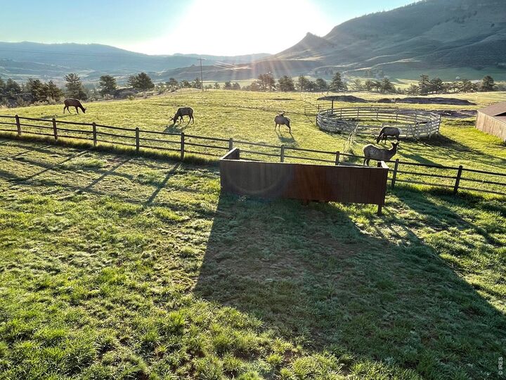 Property Photo: 294 Wedge Rock Dr CO 80540