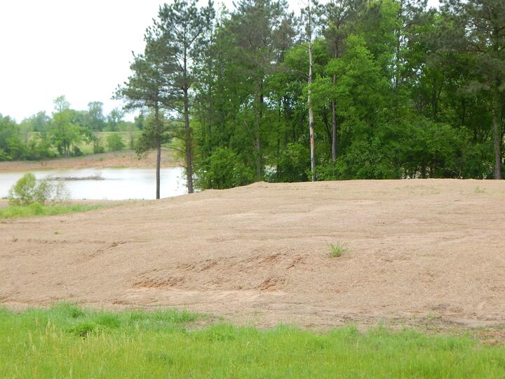 Property Photo:  Tbd Cardinal Court  TX 75640 