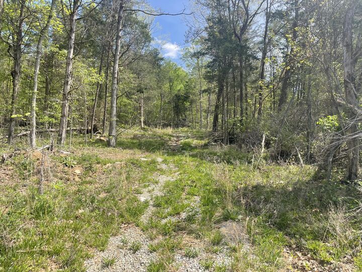 Property Photo:  4288 Elihu Cabin Hollow Road  KY 42501 