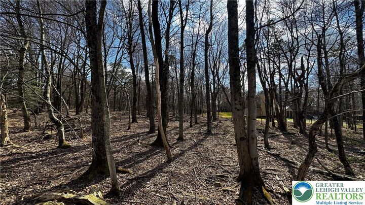 Property Photo:  1010 Stony Mountain Road  PA 18210 