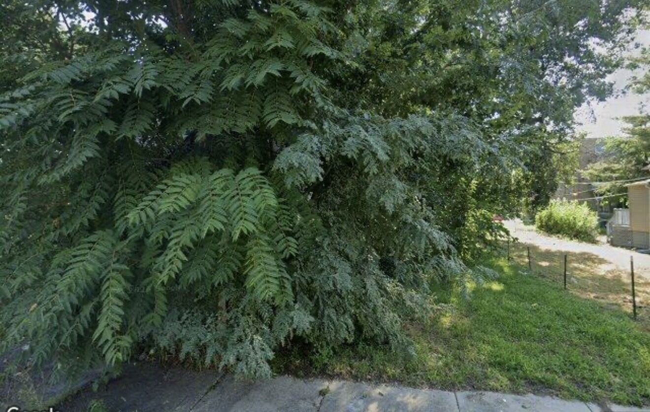 Property Photo:  6521 S Emerald Avenue  IL 60621 