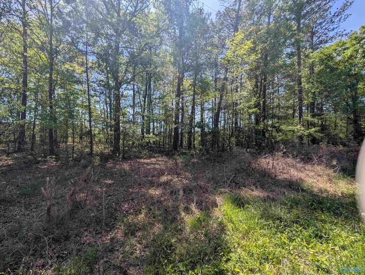 Property Photo:  11 Paradise Avenue  AL 35903 