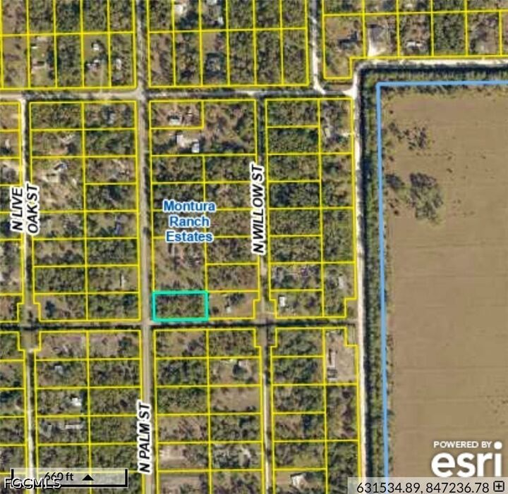 Property Photo:  815 N Palm Street  FL 33440 