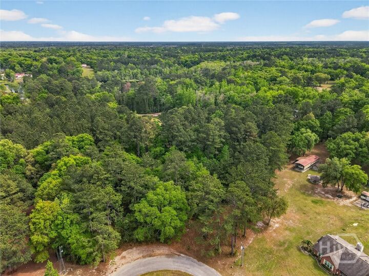 Property Photo:  0 Freeman Drive  GA 31308 