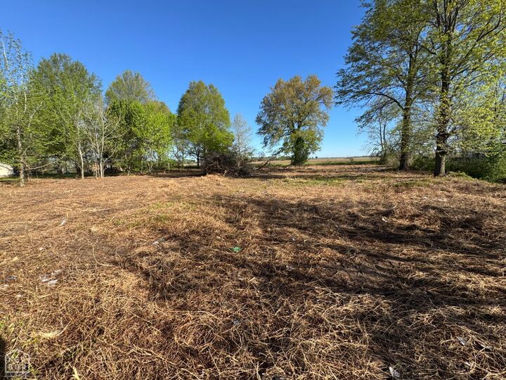 Property Photo:  0 Lot 58 Cr 236  AR 72324 