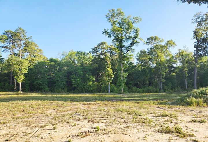 Property Photo:  110 Sawtooth Drive  GA 31763 