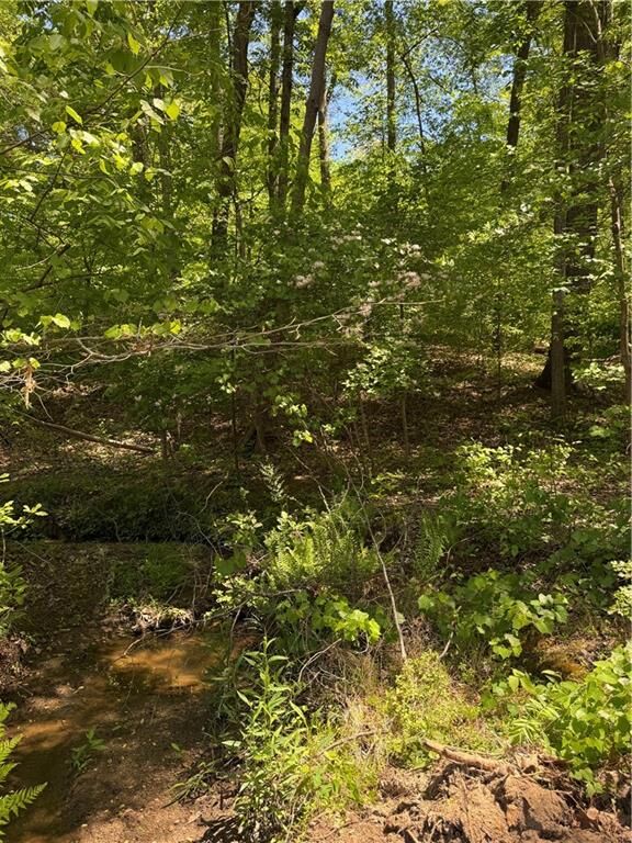 Property Photo:  0 Clark Drive  GA 30004 