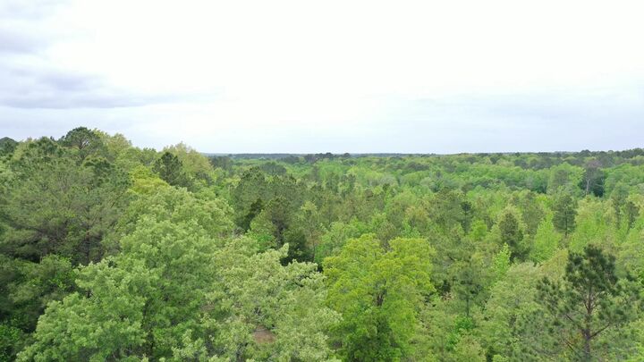 Property Photo:  0000 County Road 4346-A  TX 75555 