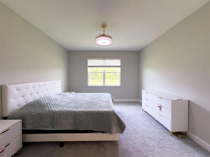 Property Photo:  32277 Mahogany Valley Drive  FL 33543 