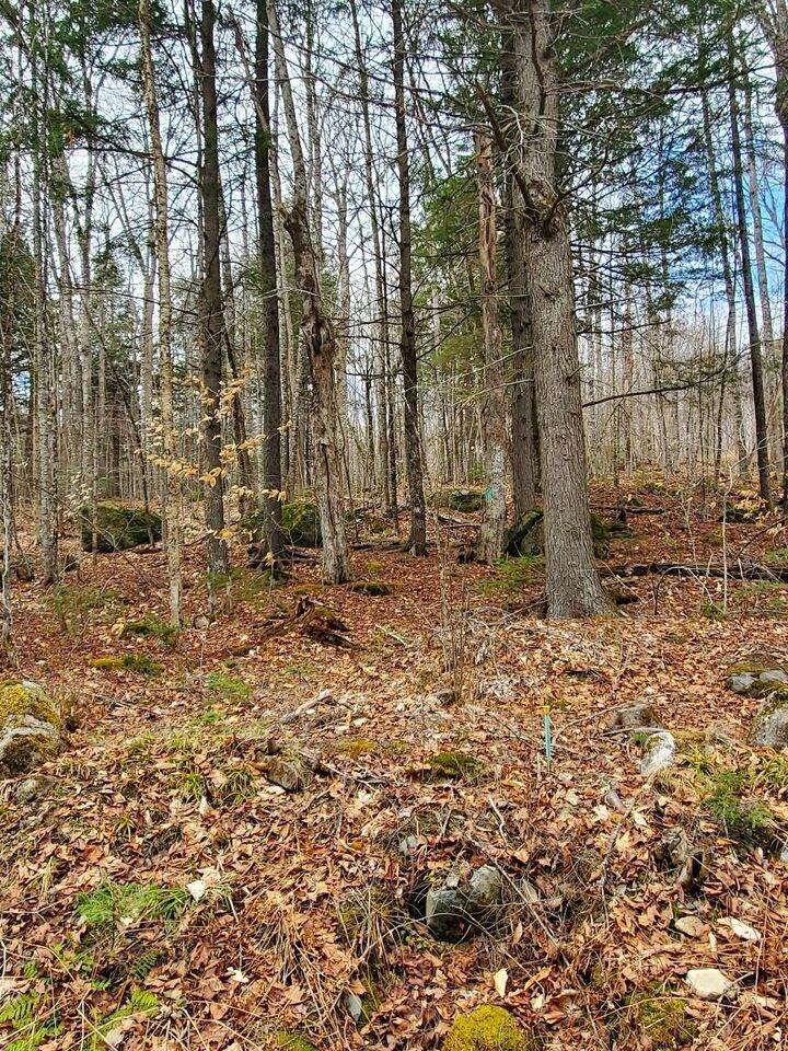 Property Photo:  0 Sandy Beach Road  ME 04424 