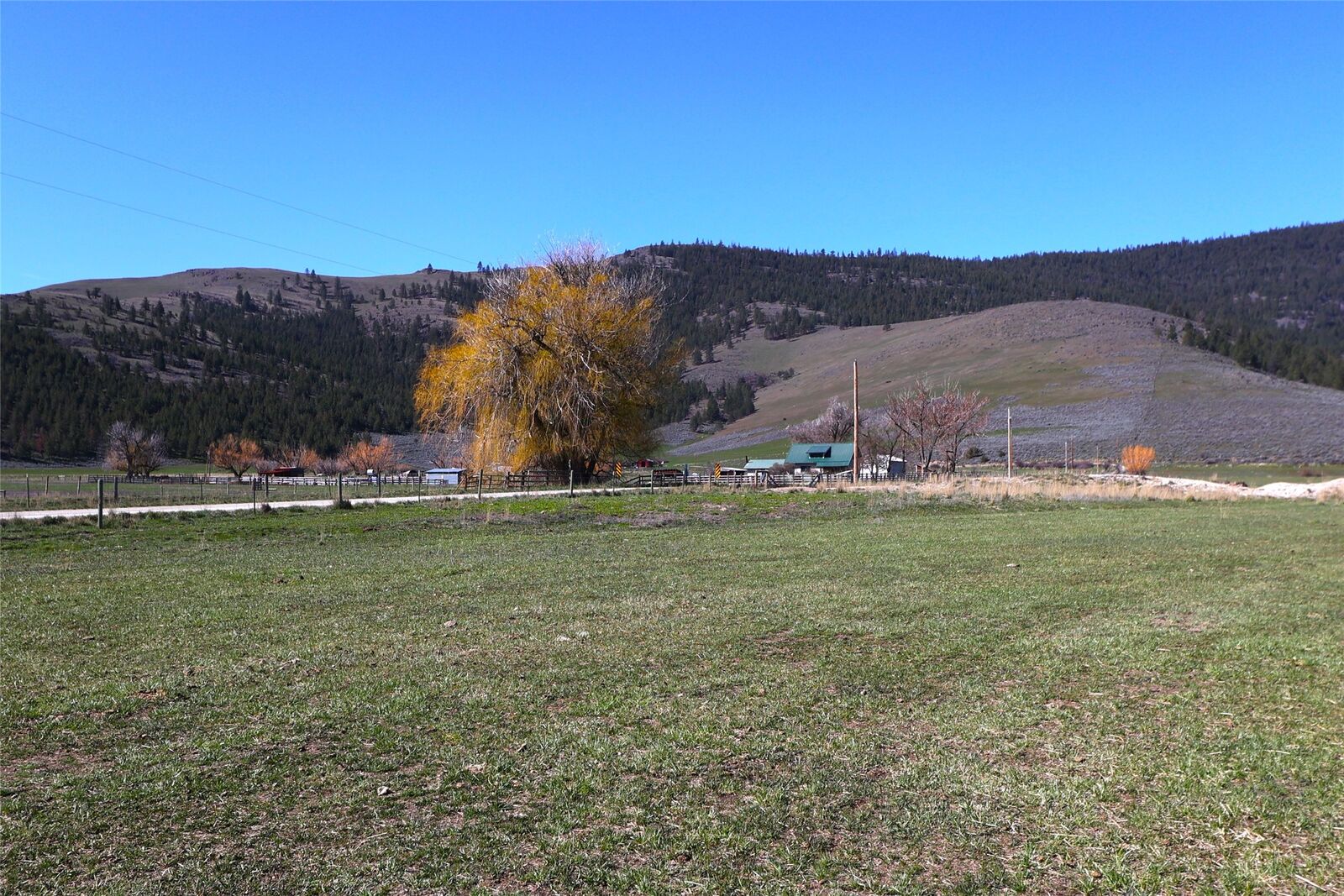 Property Photo:  182 Patton Road  MT 59848 