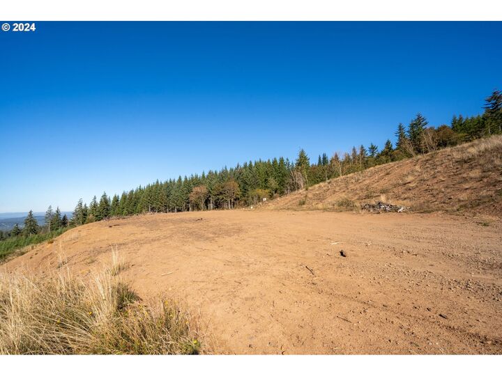 Property Photo:  No Site Address  WA 98604 