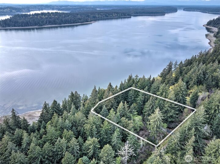 Property Photo:  101 E Peale Drive  WA 98584 