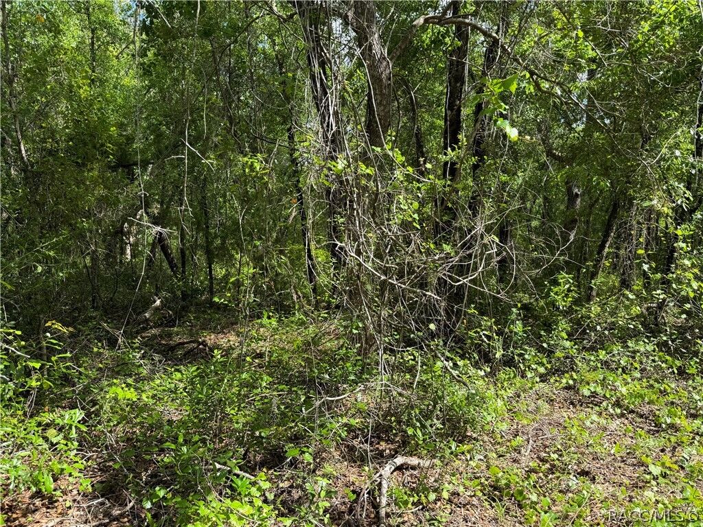 Property Photo:  112 S Crestview Avenue  FL 34452 